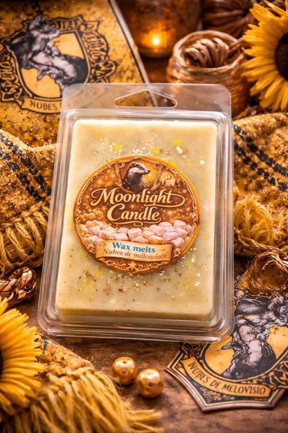 Wax Melts - Tableta "Casa Hufflepuff"🟡
